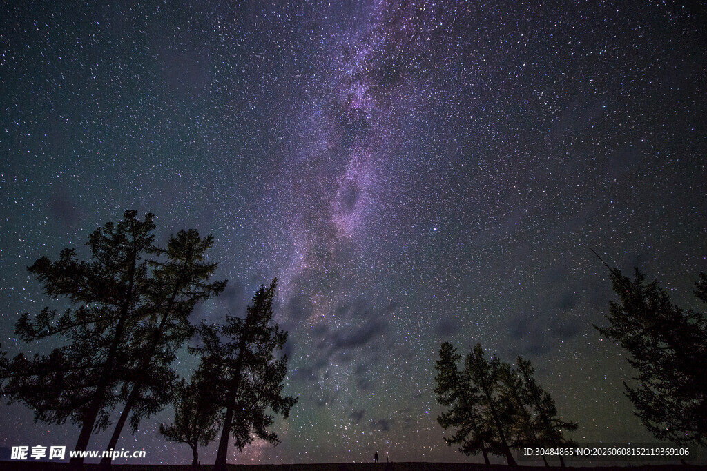 夜空下的璀璨星河与树木