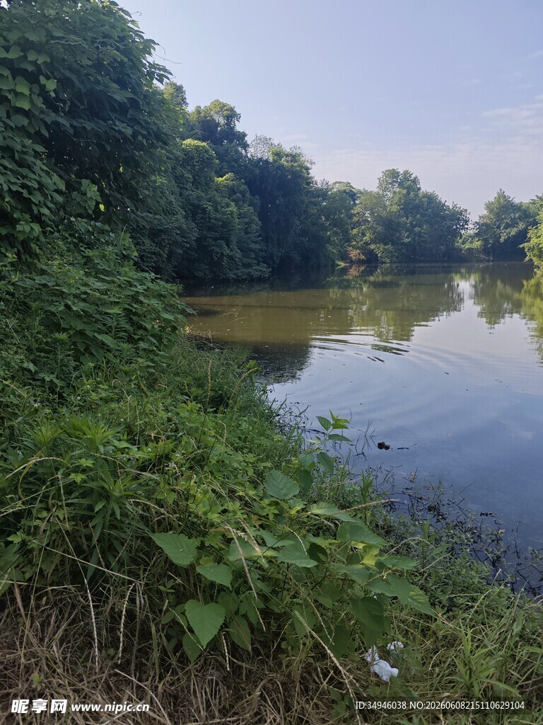 宁静河畔绿意盎然的景致