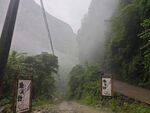山间迷雾中的古朴路标