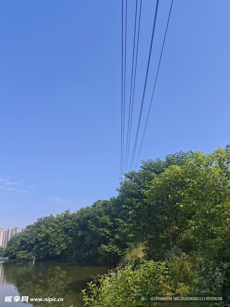 河畔绿树间的架空电线