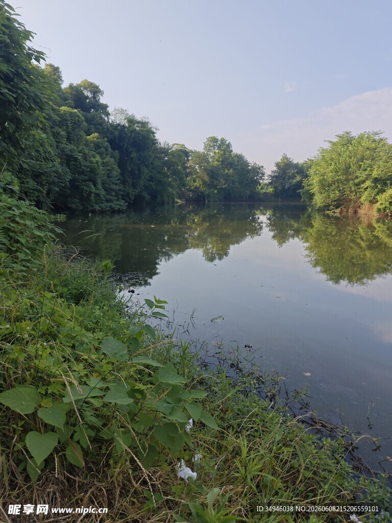 宁静河畔绿意盎然风景图