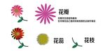 多样花卉元素展示