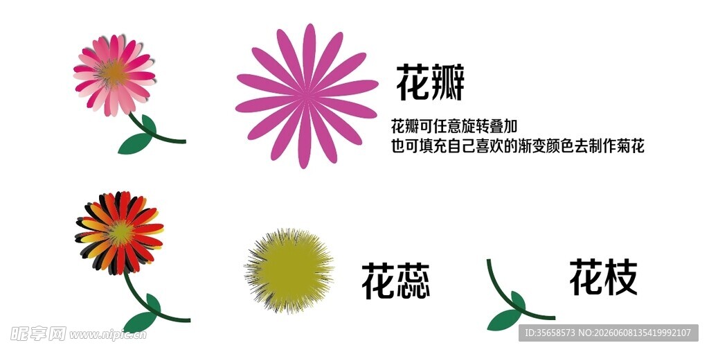 多样花卉元素展示
