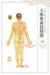 人体骨骼经络示意图