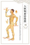 人体经络穴位示意图