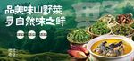 品尝山野鲜 享自然之味