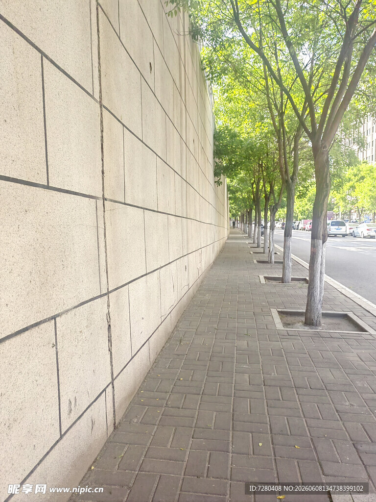 墙边林荫小道