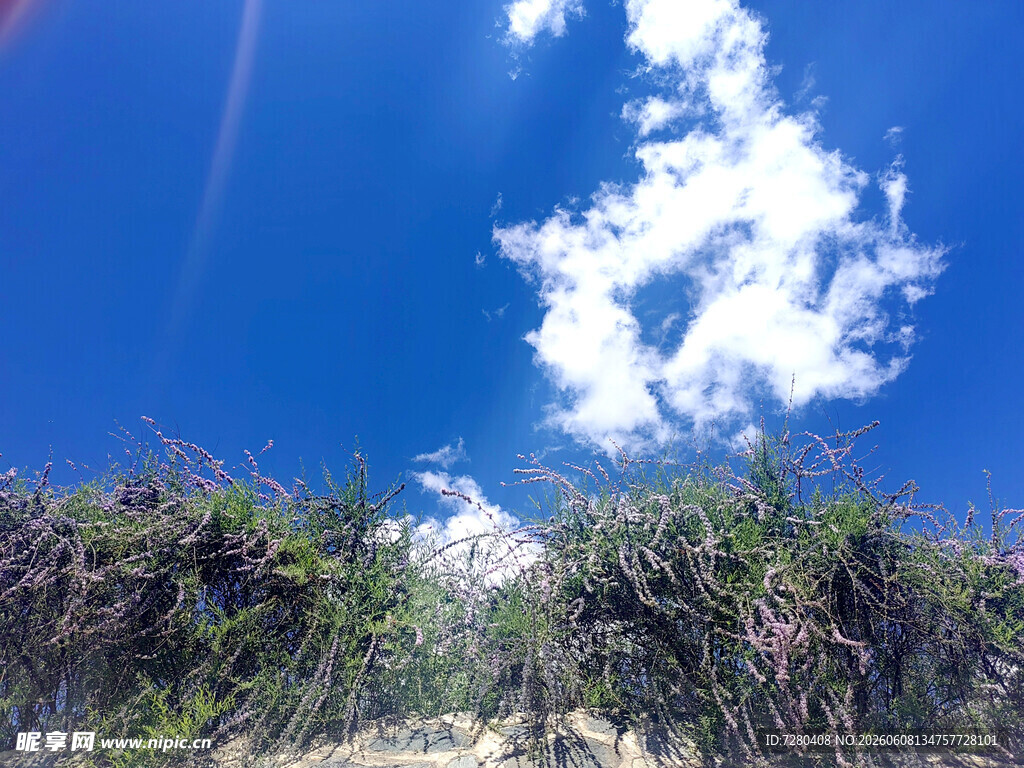 蓝天绿草间的自然美景