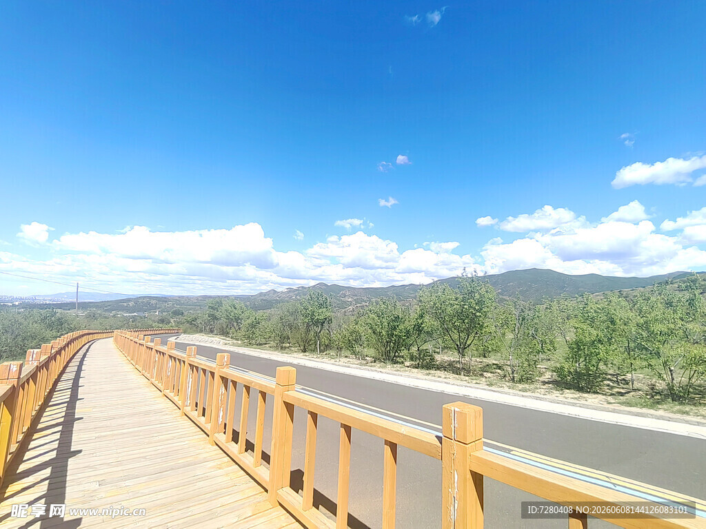公路旁木质护栏风景