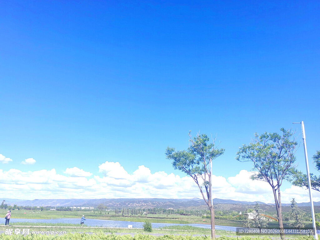 蓝天绿树间的开阔风景