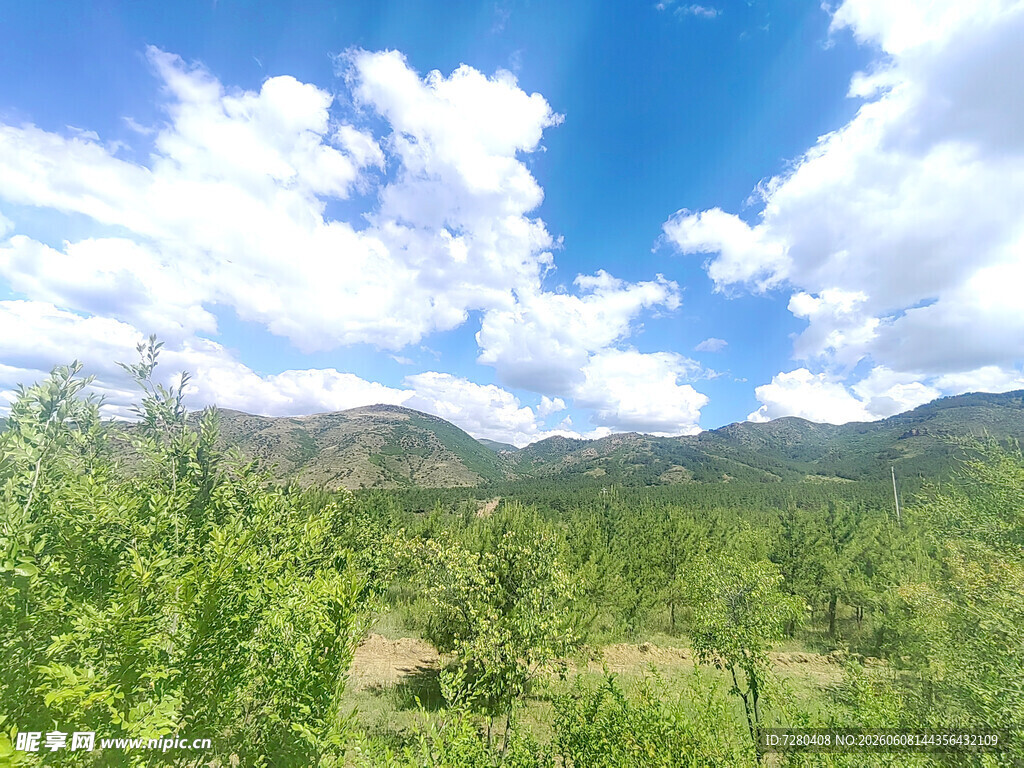 蓝天白云下的山林美景