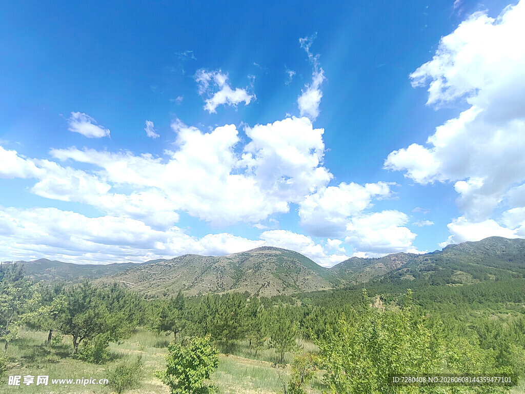 蓝天白云下的山林美景