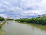 河畔风光 绿树环绕的河流