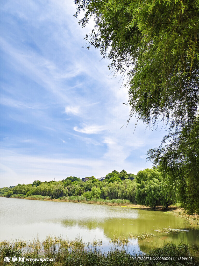 湖畔绿意风光