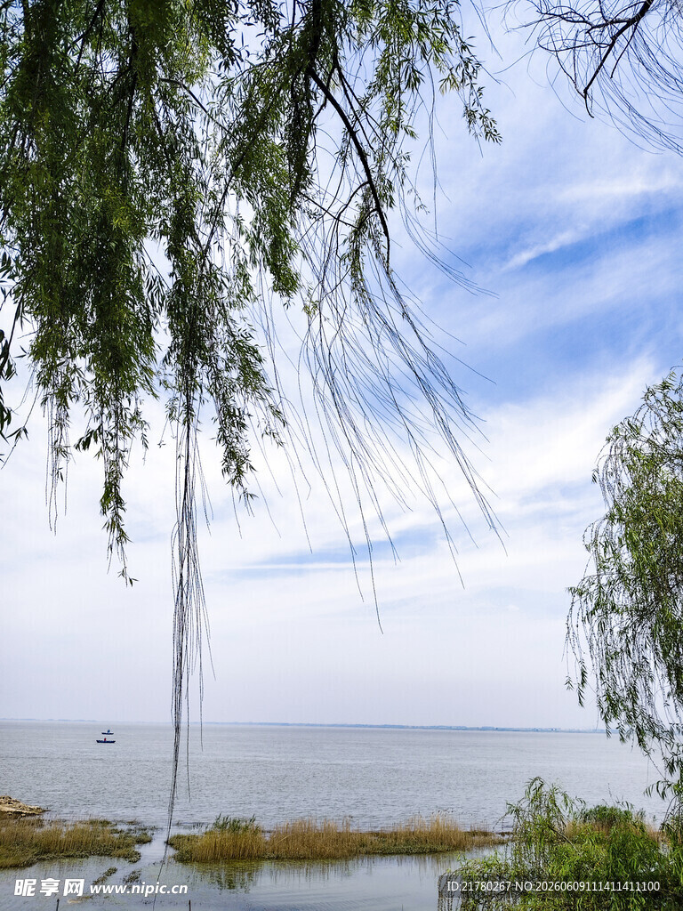 湖畔垂柳 蓝天碧水