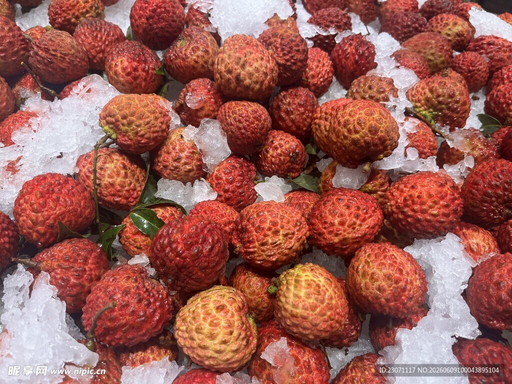 荔枝王