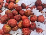 新鲜荔枝
