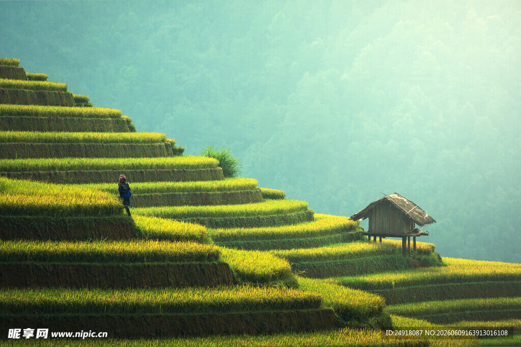 山间梯田美景自然风光风景