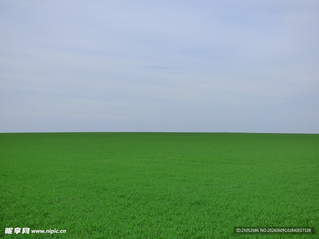 广袤绿色田野清新自然景