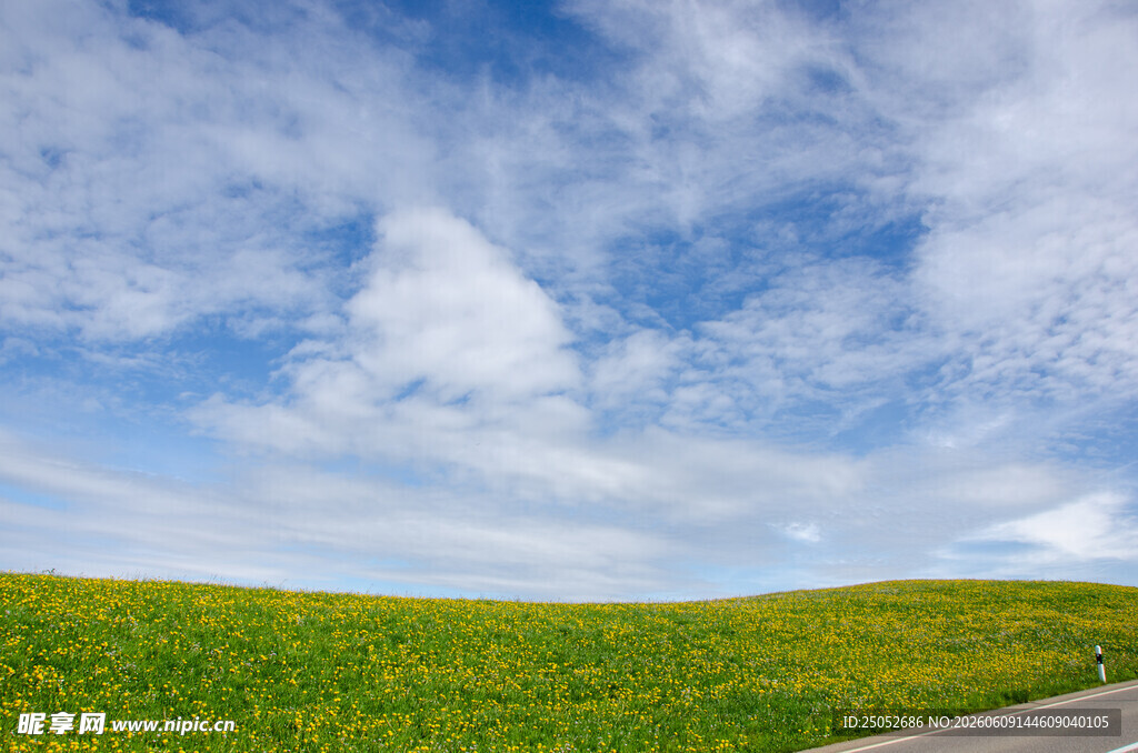 蓝天绿野间的美丽风景