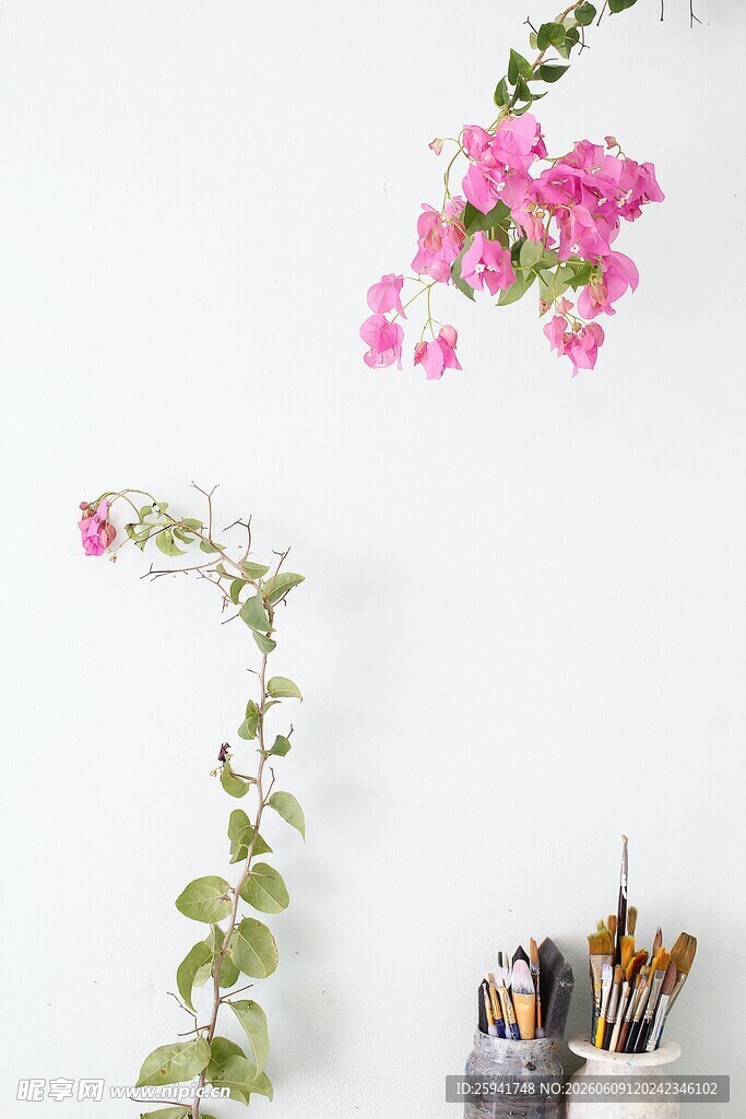 室内花卉绿植装饰小景