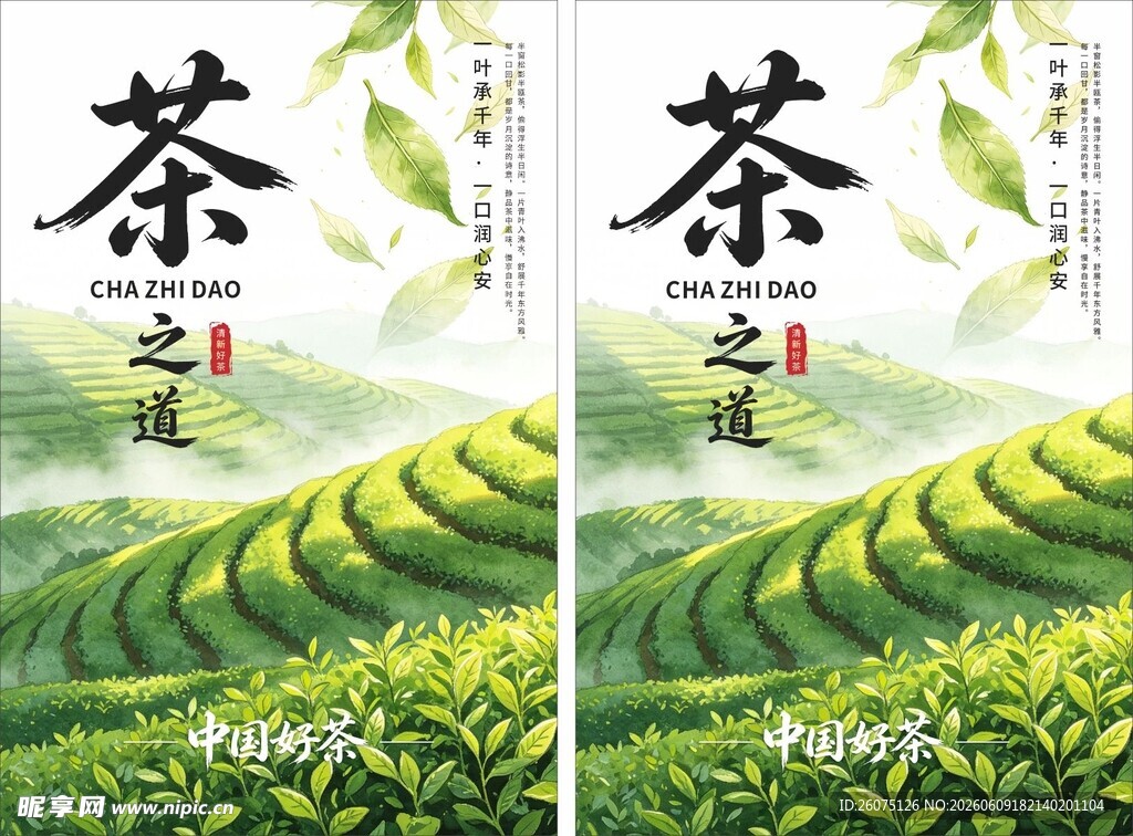 茶园美景茶之韵海报展示