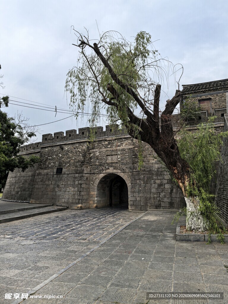 古城墙下倾斜生长的树木