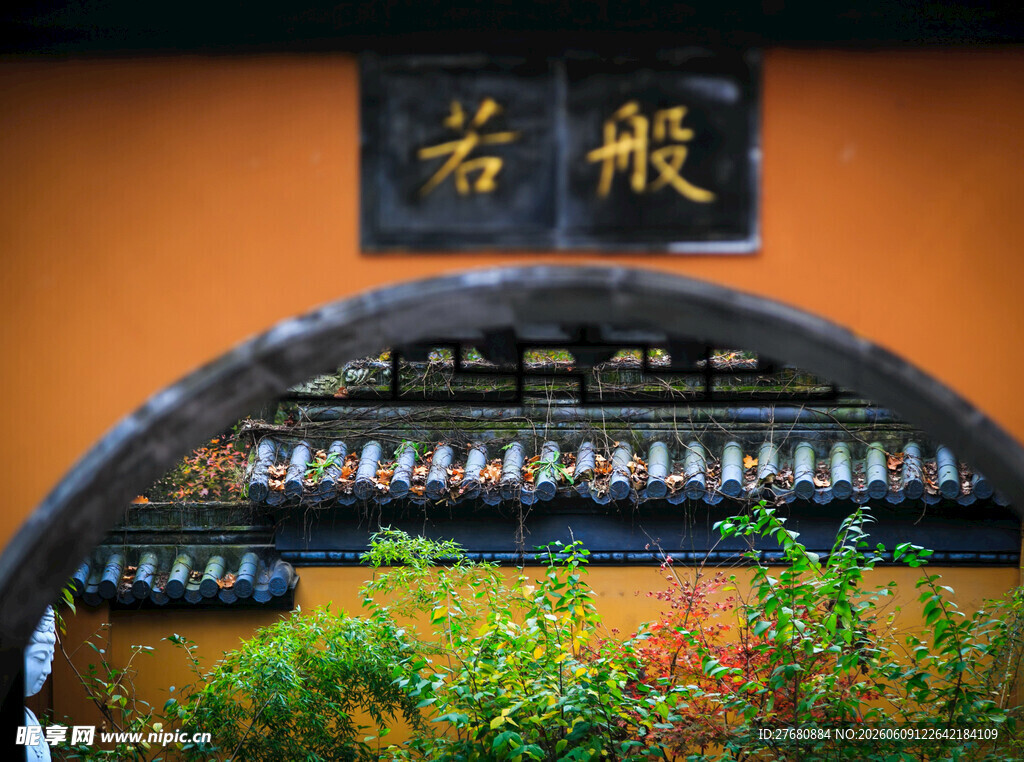 中式建筑下的古琴陈列