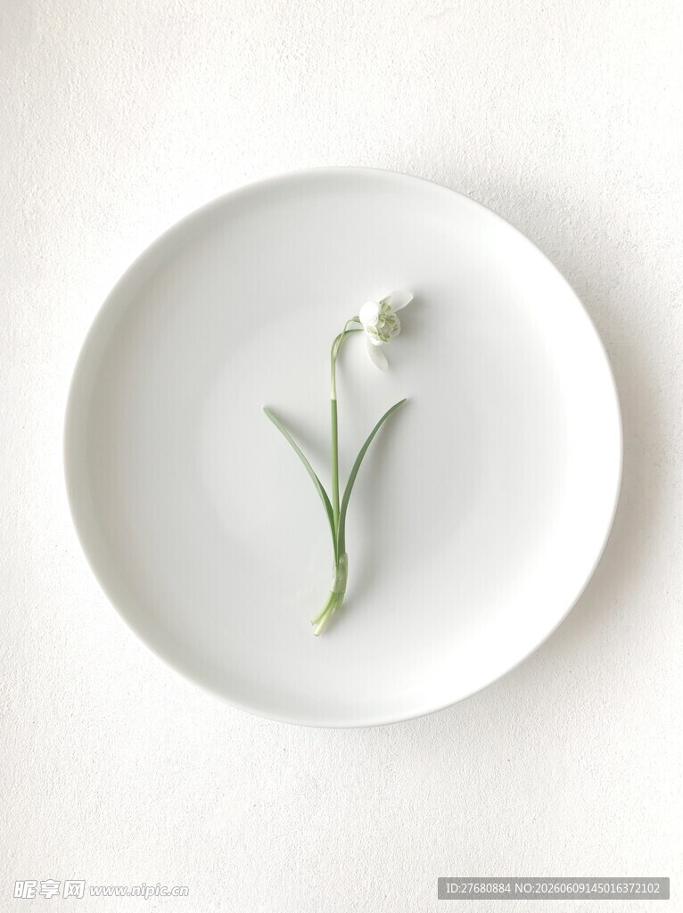 白盘上的铃兰花