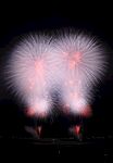 夜空中绚烂绽放的烟花