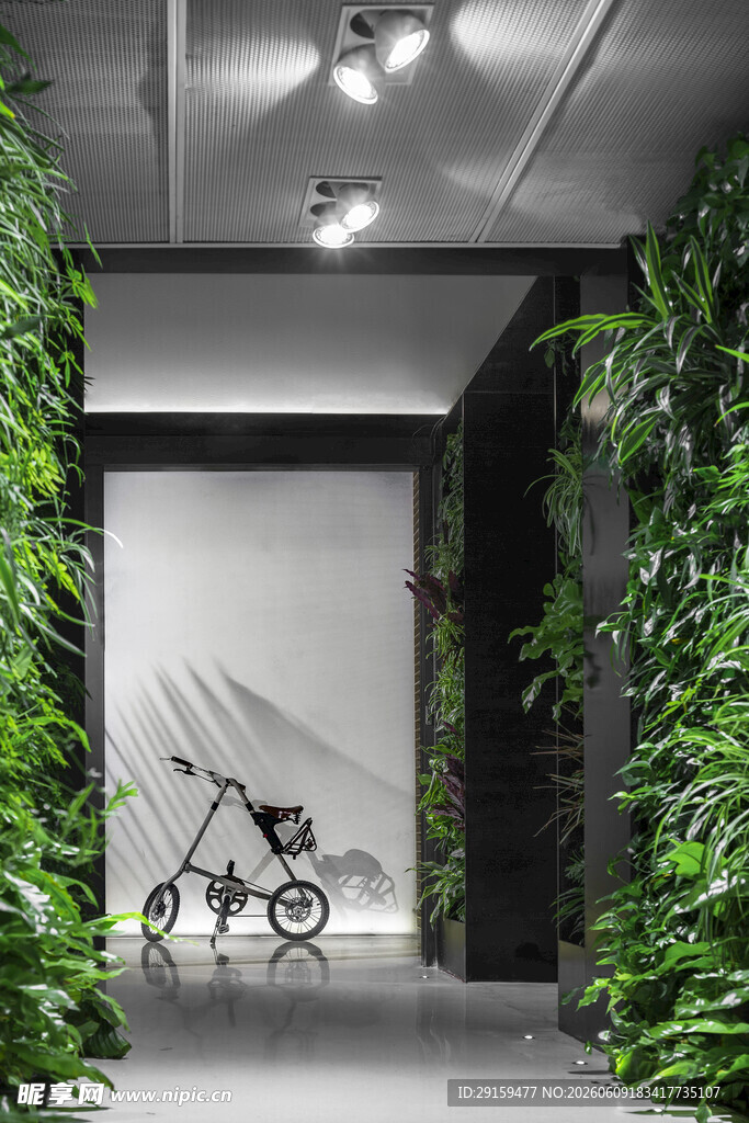 室内绿植环绕的自行车展示区