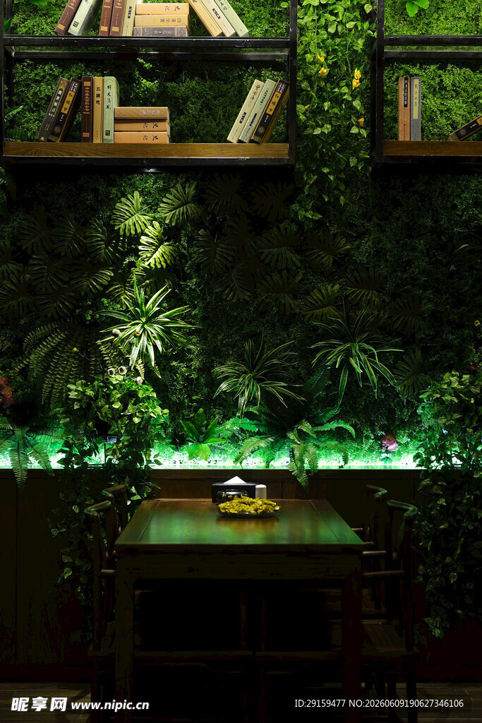 绿植环绕的静谧室内角落