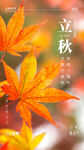 立秋宣传图片
