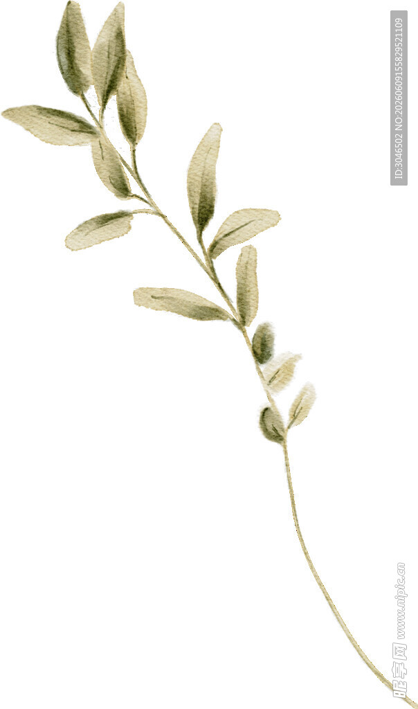 简约单枝绿叶植物图案