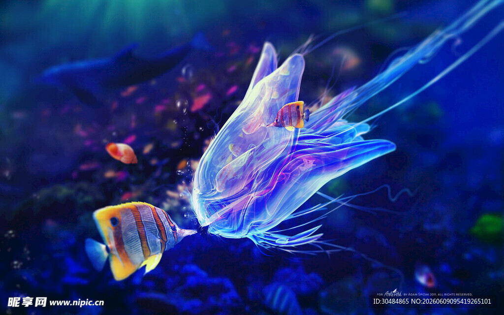 梦幻海底游动的斑斓鱼类