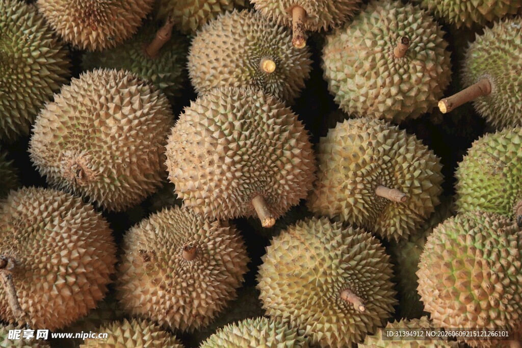 满满一堆新鲜榴莲果