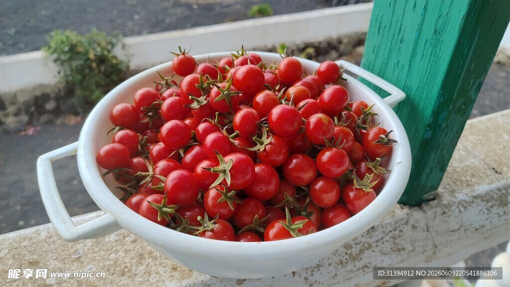 白碗中饱满的新鲜红番茄