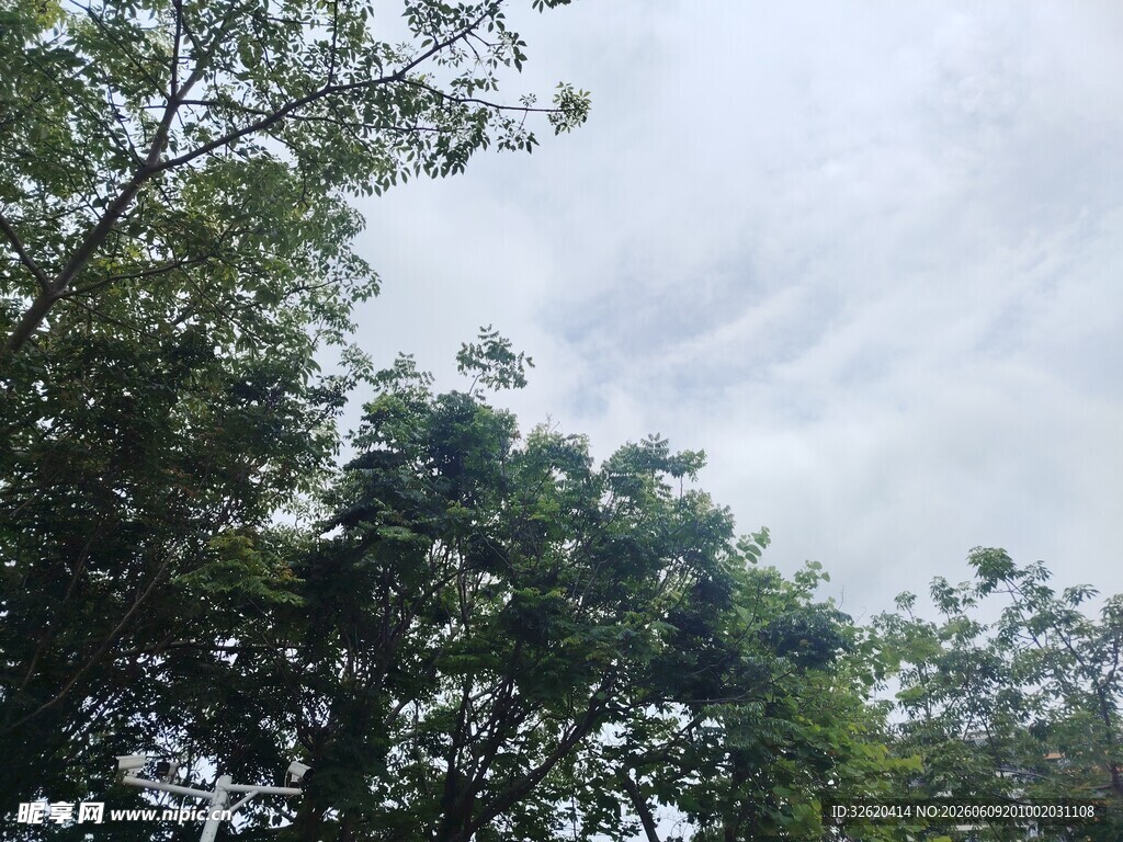绿树蓝天间的清新景致