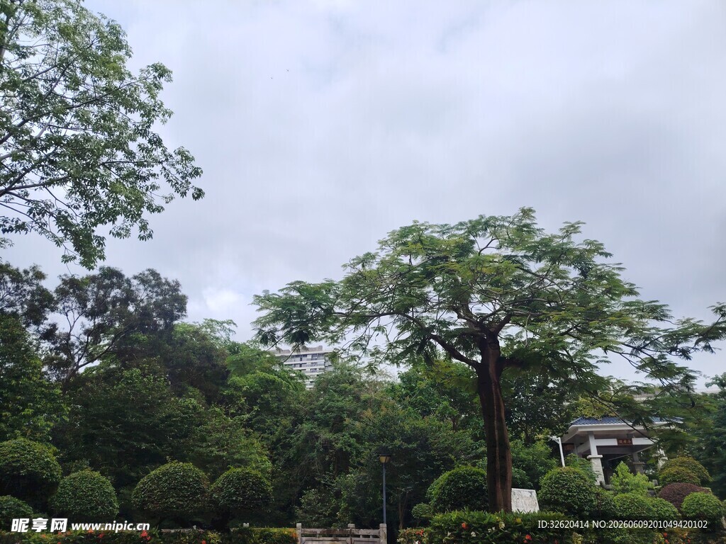 绿意盎然的园林景观