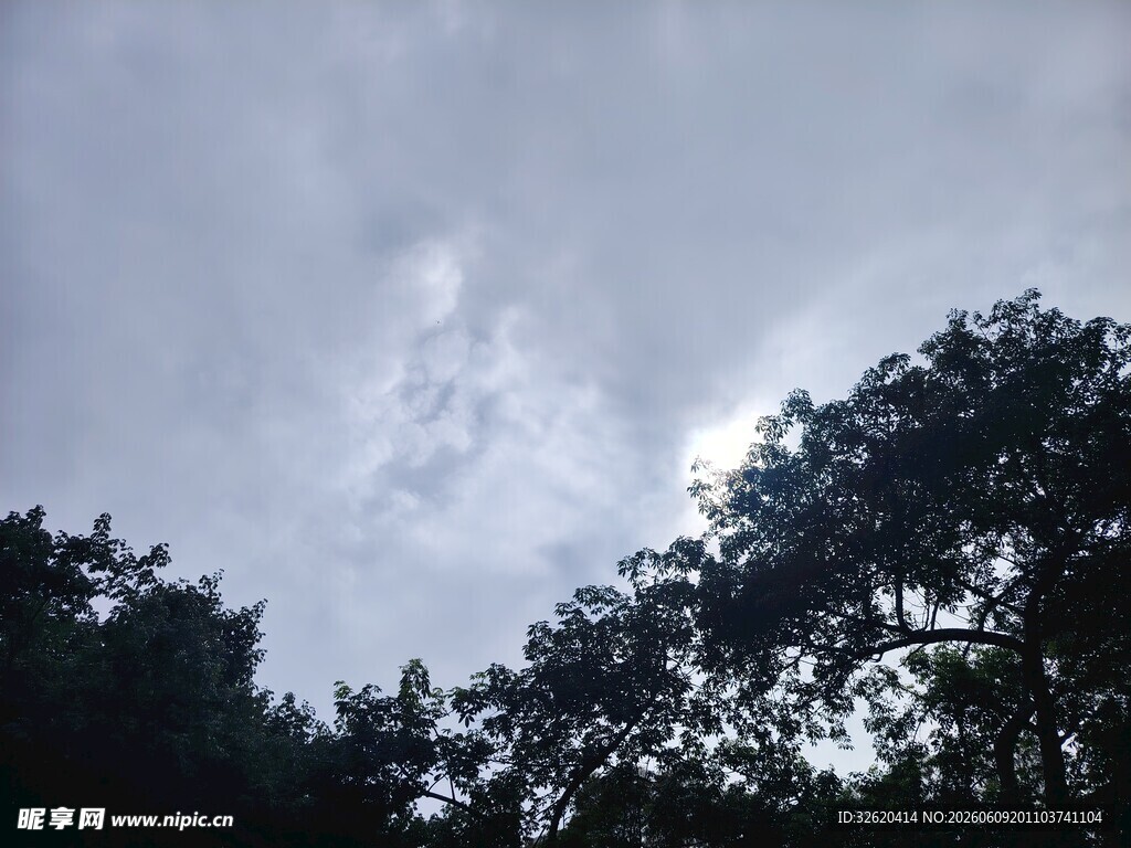 林间天空