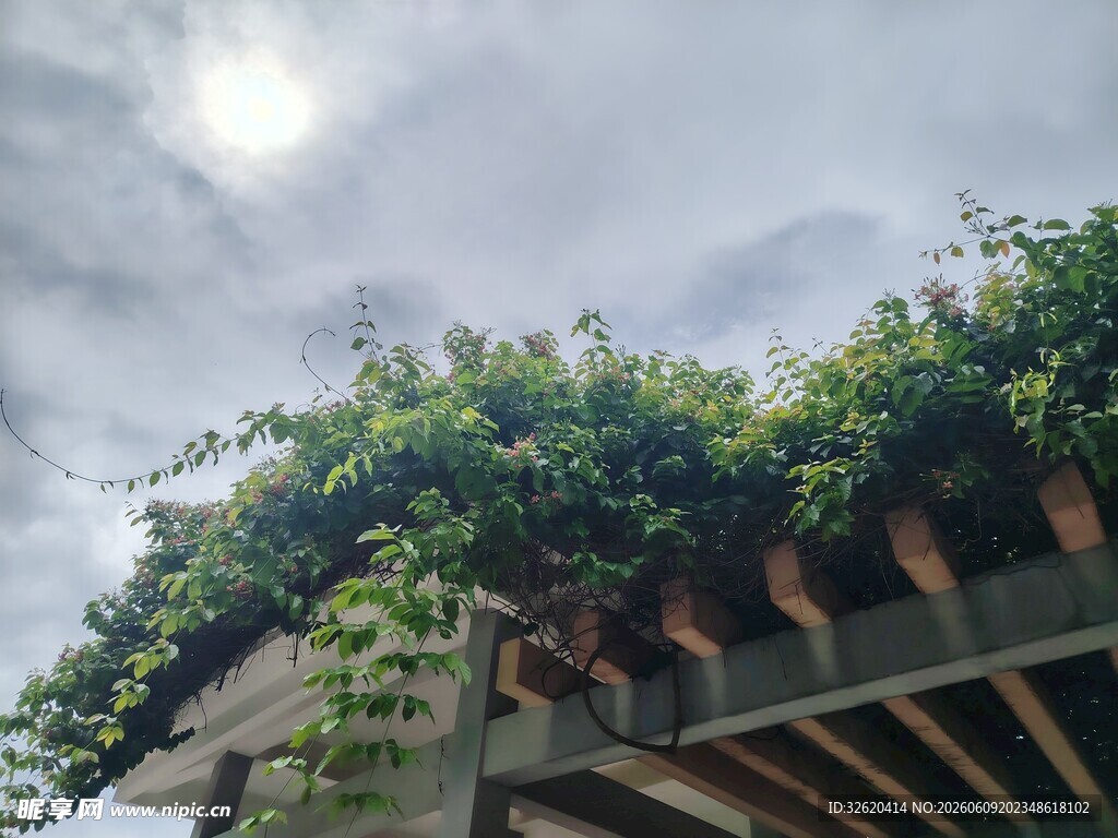 屋顶绿植景观