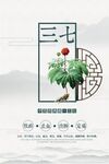 中草药三七