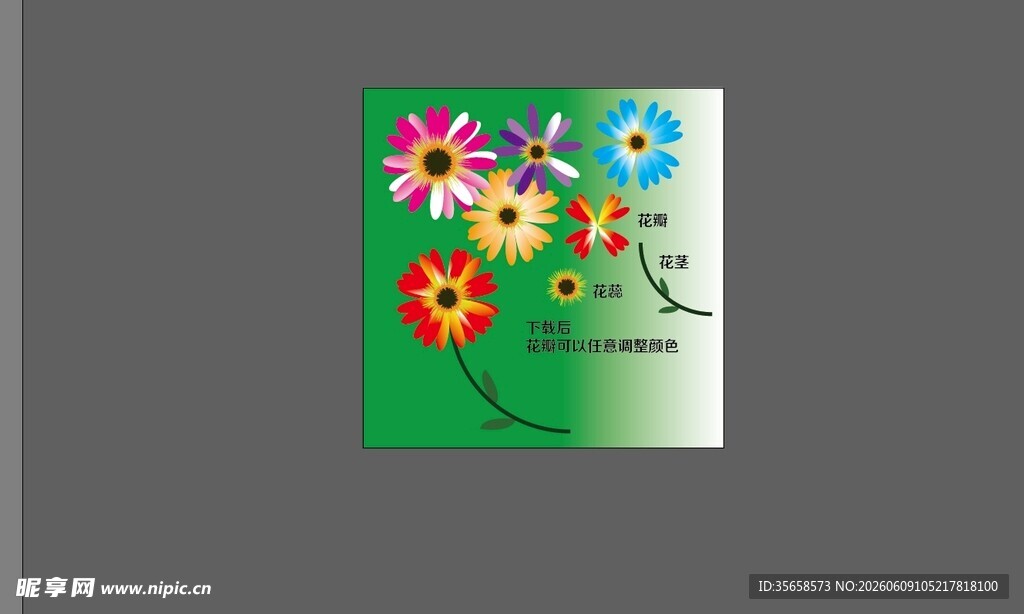 多彩花卉贺卡设计