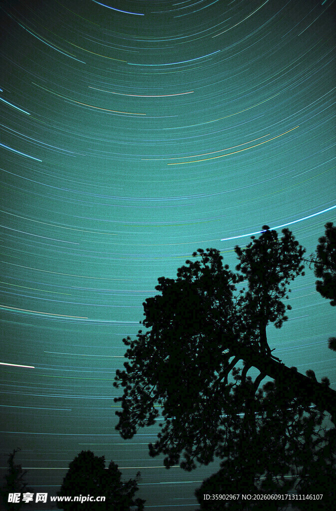 夜空下的树与星轨