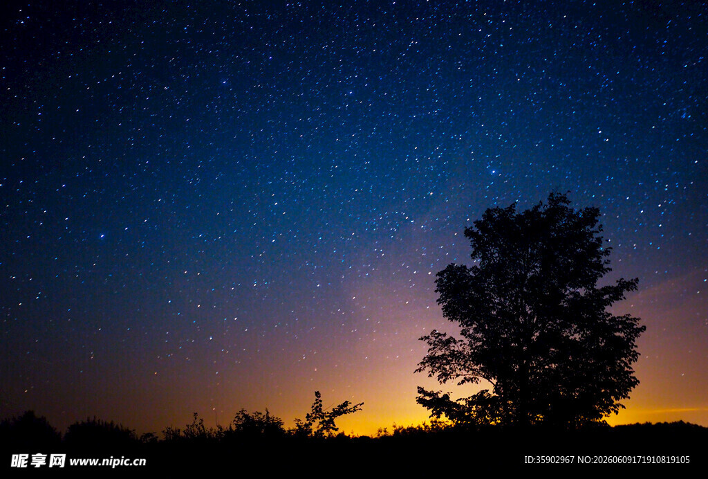 夜幕下的树与璀璨星空