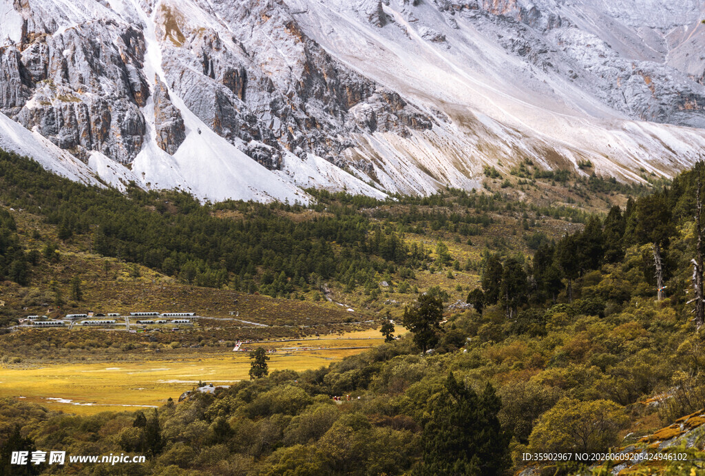 雪山下的多彩山林景观