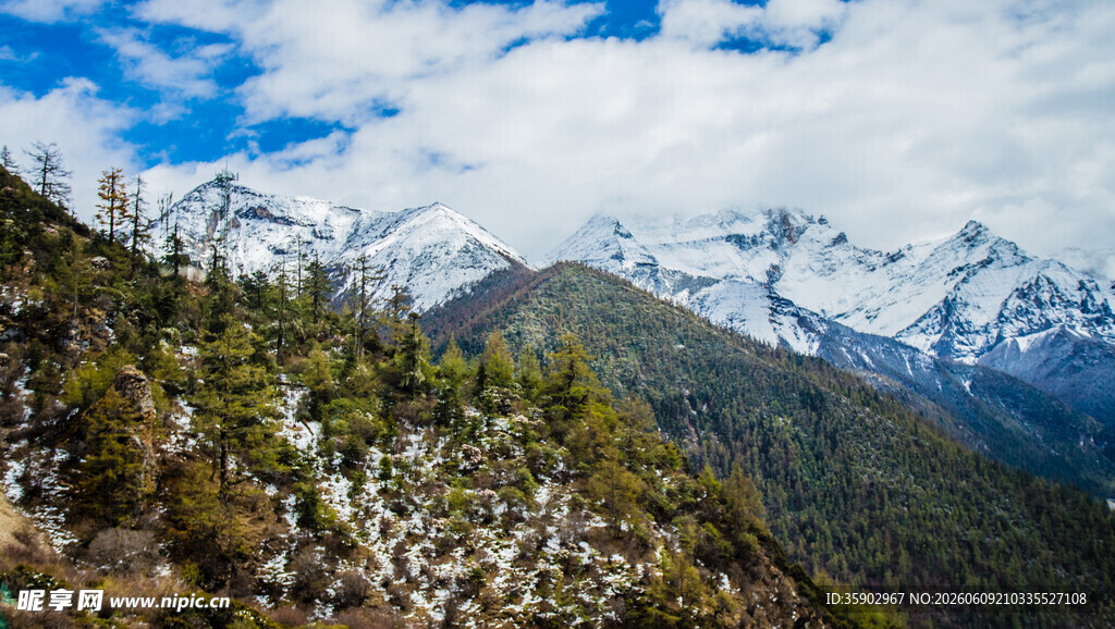 雪山山林壮丽自然景观