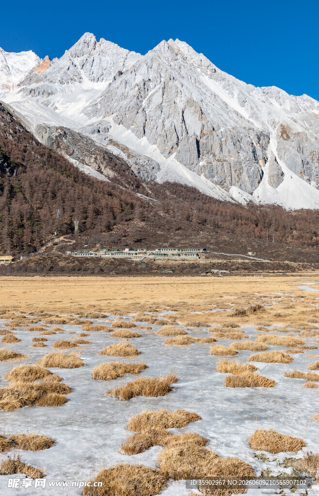 雪山下的旷野风光