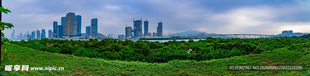 城市与绿地交相辉映的美景