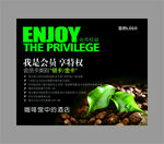 享受会员特权的咖啡豆海报